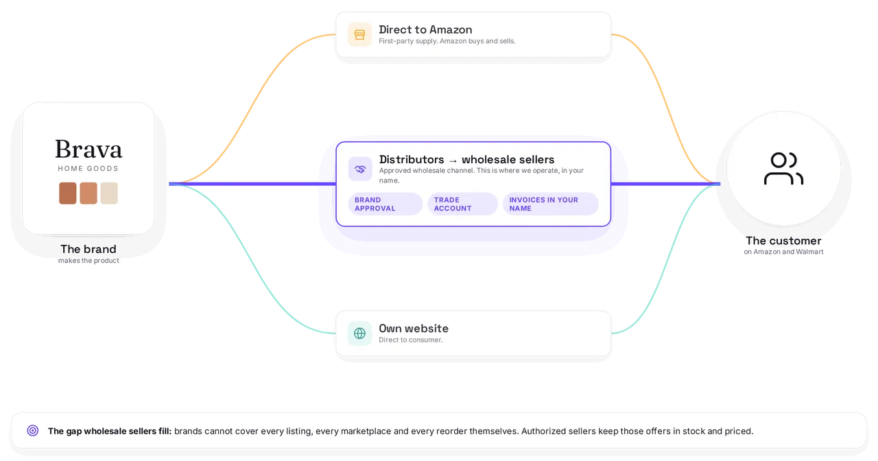 Three routes from a brand to the customer: direct to Amazon, through distributors to authorized wholesale sellers (highlighted), and the brand's own website